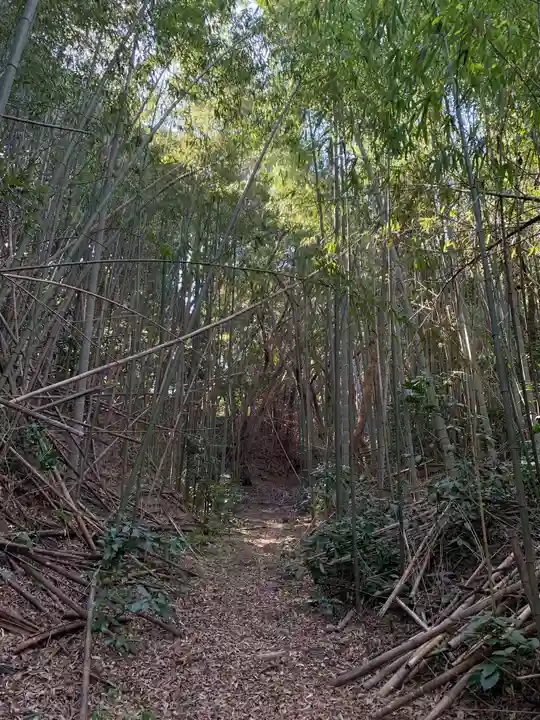 浅間大神(千葉県)