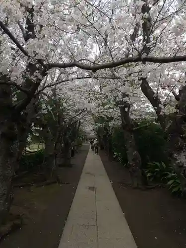 極楽寺（霊鷲山感應院極楽律寺）の景色