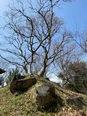 世界第一八百萬神之御殿　寄島分殿(岡山県)