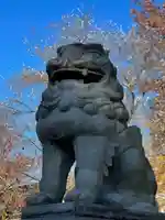 八心大市比古神社の狛犬