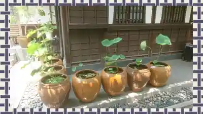 泥牛庵(神奈川県)