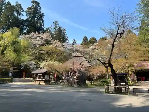 中尊寺の建物その他