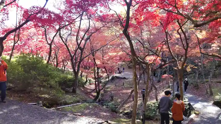 湯神社(彌彦神社末社)(新潟県)