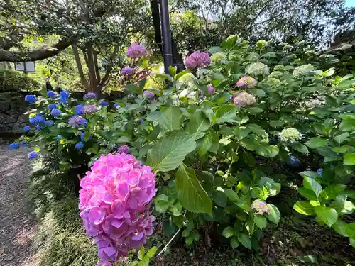 念佛院(奈良県)