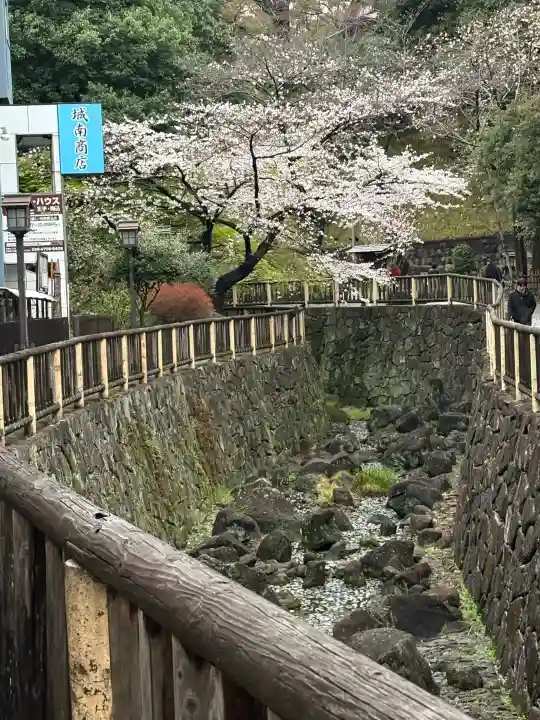 王子神社の{uncategorized: "未分類", other: "その他", undefined: "問題あり", building: "その他建物", grave: "お墓", sacred_gate: "鳥居", guardian: "狛犬", statue: "像", buddha: "仏像", history: "歴史", nature: "自然", garden: "庭園", animal: "動物", pagoda: "塔", temizu: "手水舎", mountain_gate: "山門・神門", sanctuary: "本殿・本堂", subordinate: "末社・摂社", art: "芸術", scenery: "景色", jizo: "地蔵", ema: "絵馬", goshuin: "御朱印", omikuji: "おみくじ", items: "授与品その他", amulet: "お守り", goshuincho: "御朱印帳", eats: "食事", festival: "お祭り", votive_dance: "神楽", shichigosan: "七五三参", wedding: "結婚式", experience: "体験その他", initially: "初詣", around: "周辺", anti_infection: "感染症対策"}