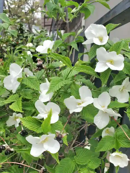 阿邪訶根神社(福島県)