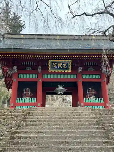 妙義神社(群馬県)