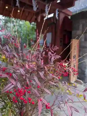 陽運寺(東京都)
