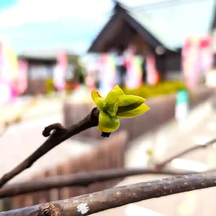 七重浜海津見神社(北海道)