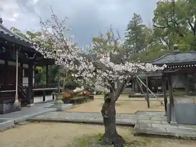 昆陽寺(兵庫県)