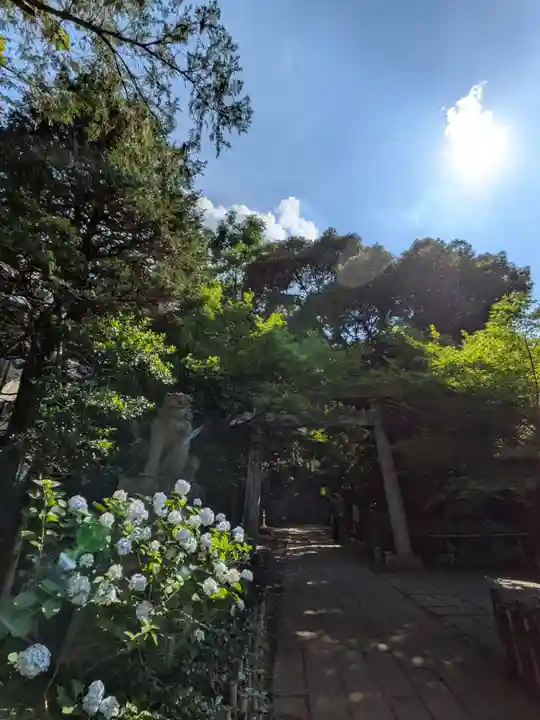 赤坂氷川神社(東京都)