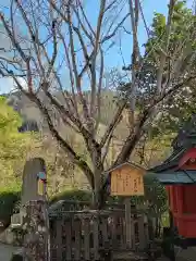 長谷寺(奈良県)