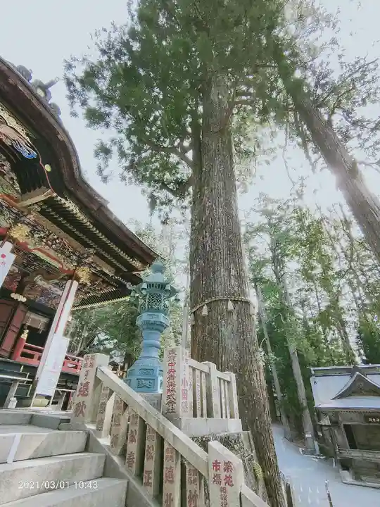 三峯神社の自然