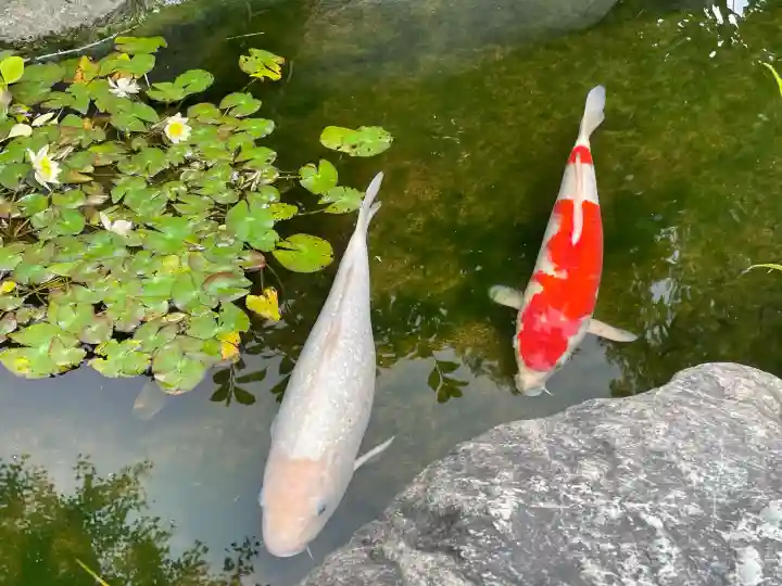 素盞雄神社(東京都)