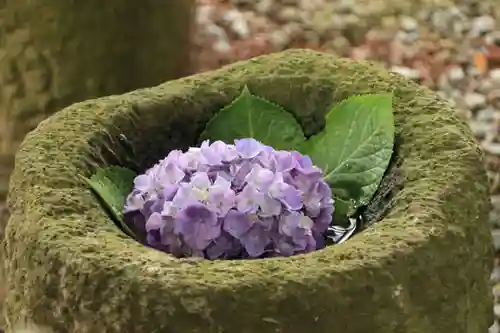 阿久津「田村神社」（郡山市阿久津町）旧社名：伊豆箱根三嶋三社の手水舎