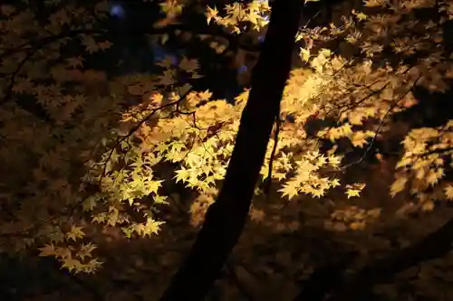 磐椅神社の自然