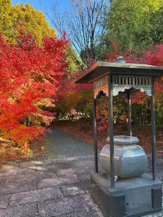 大森寺(愛知県)