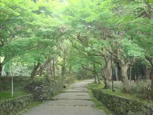 西明寺の建物その他