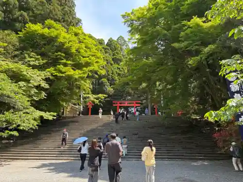 霧島神宮(鹿児島県)