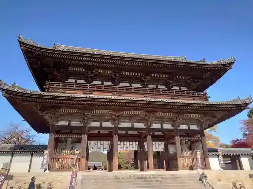 仁和寺の山門