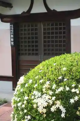 弥勒院(京都府)
