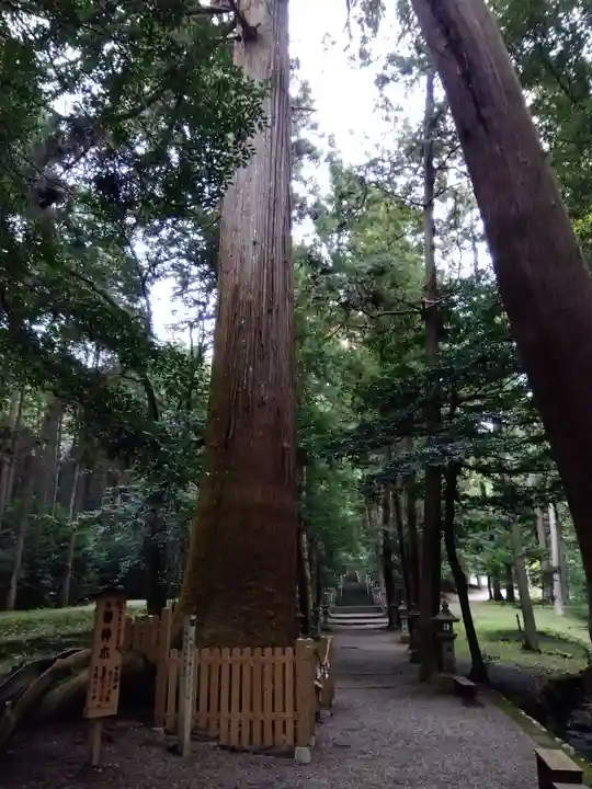 八幡神社(武芸八幡宮)(岐阜県)