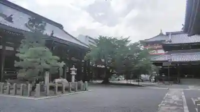 本法寺の本殿・本堂