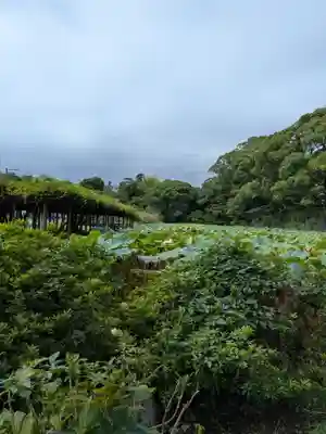 報徳二宮神社(神奈川県)
