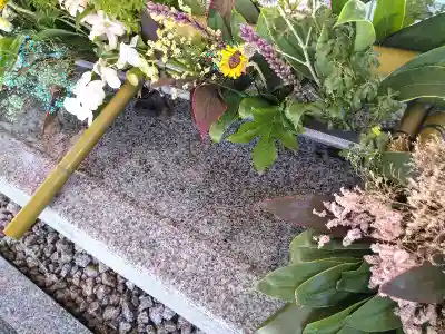 生田神社(兵庫県)