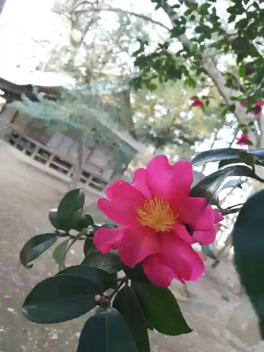 東蕗田天満社の自然