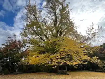 大山寺(徳島県)