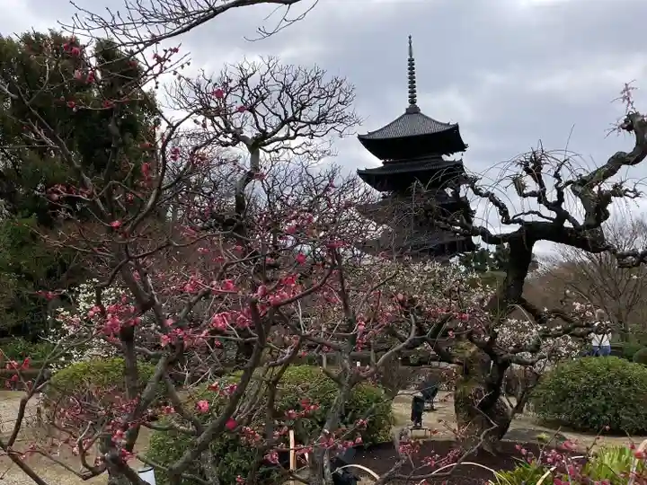 東寺(教王護国寺)(京都府)