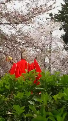 天津司神社の自然