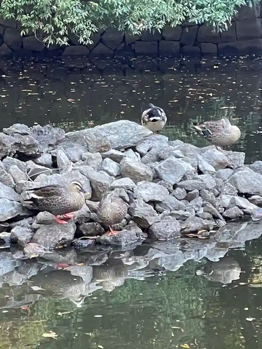 武蔵一宮氷川神社(埼玉県)