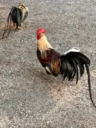 石上神宮(奈良県)