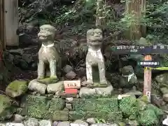 鳳来山東照宮の狛犬