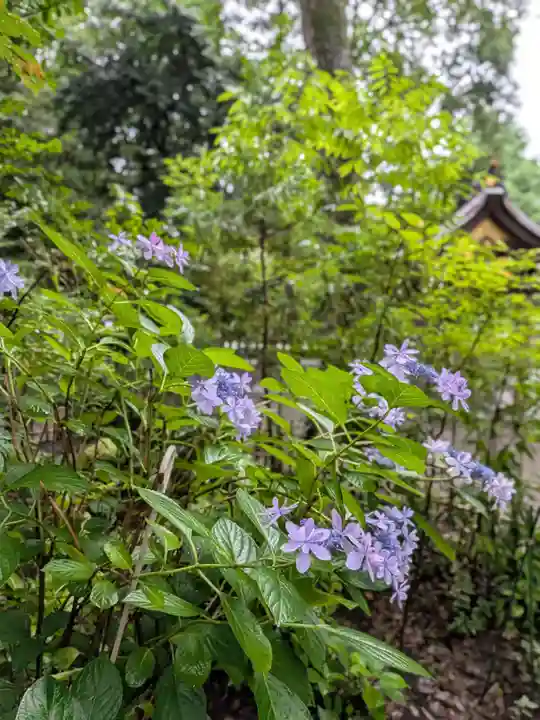 布多天神社(東京都)
