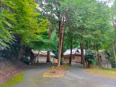 稲束神社(平尾町)の自然