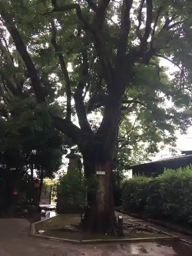 最勝寺教学院の自然