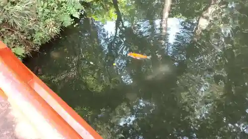 大神神社(栃木県)