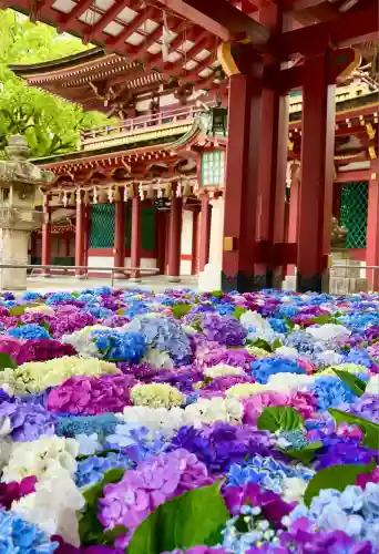 太宰府天満宮(福岡県)