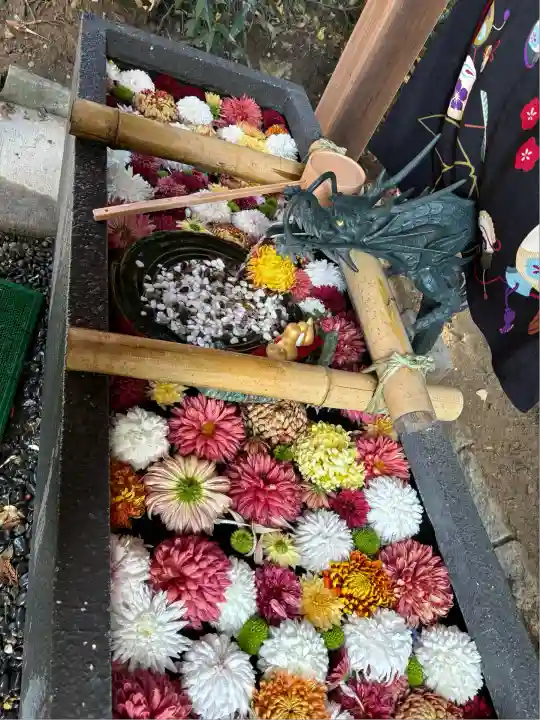 下野 星宮神社(栃木県)
