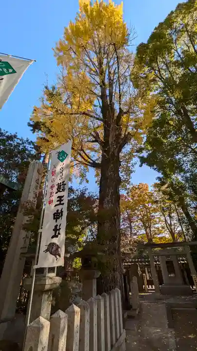 護王神社(京都府)