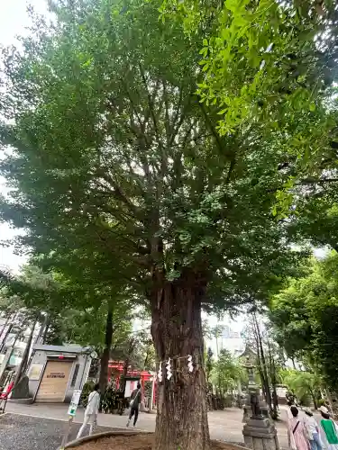 鳩森八幡神社(東京都)