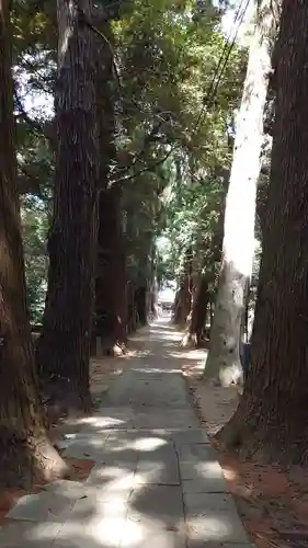 日吉神社(千葉県)
