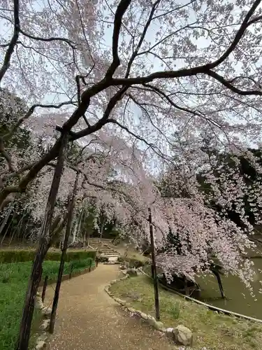 曹源寺(岡山県)