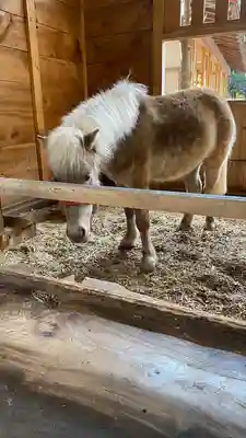 平塚八幡宮(神奈川県)