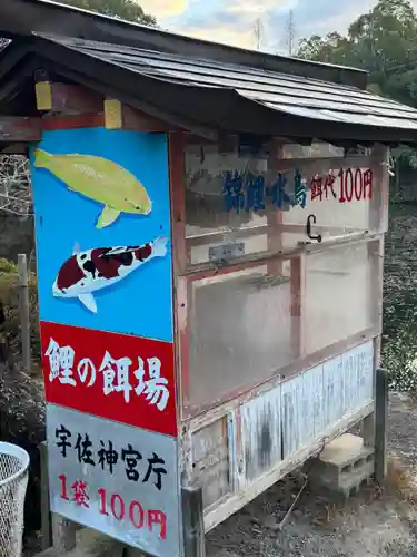 宇佐神宮(大分県)