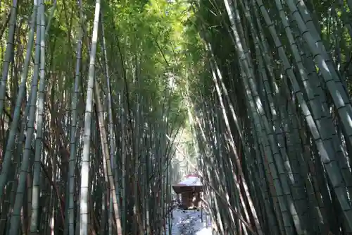 大日如来堂の景色