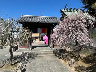 龍光寺(三重県)